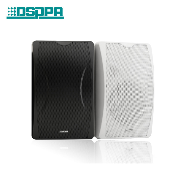 DSPPA wall mounted speakers